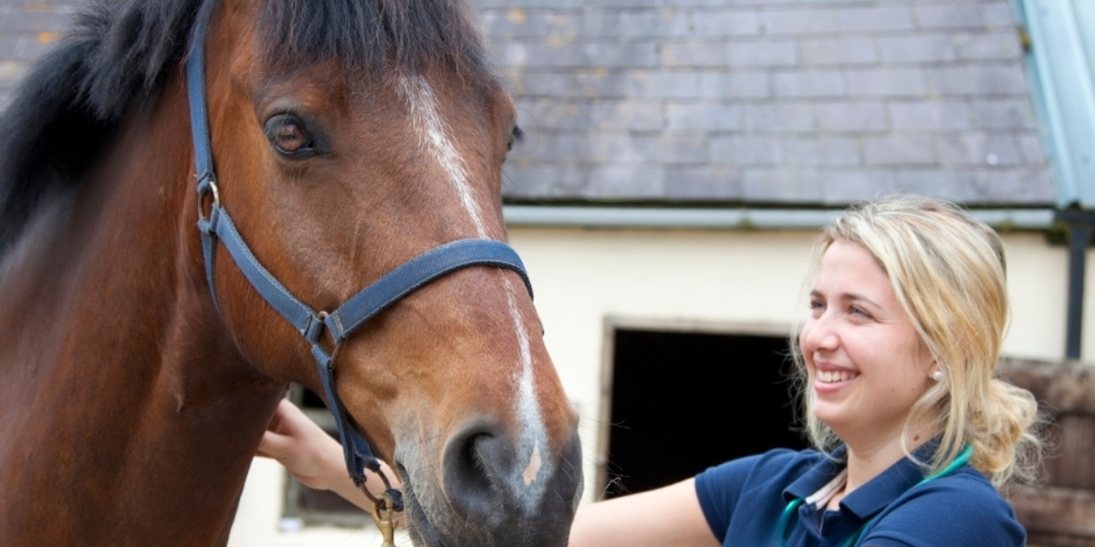 working with horses
